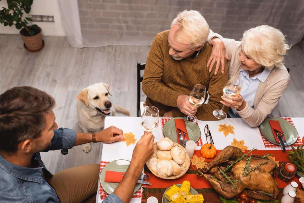 Thanksgiving Pet Safety Tips