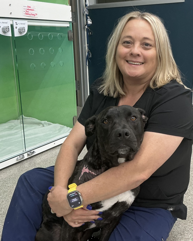 Sarah , Veterinary Assistant