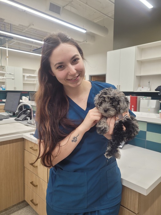 Ashlee Johnson, Veterinary Assistant Ashlee Johnson, Veterinary Assistant