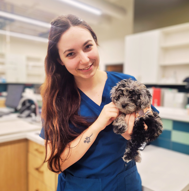 Ashlee Johnson, Veterinary Assistant Ashlee Johnson, Veterinary Assistant