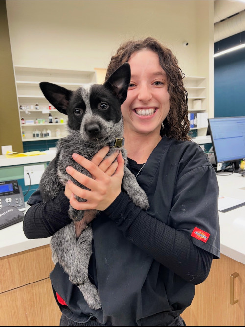 Bianca , Veterinary Technician