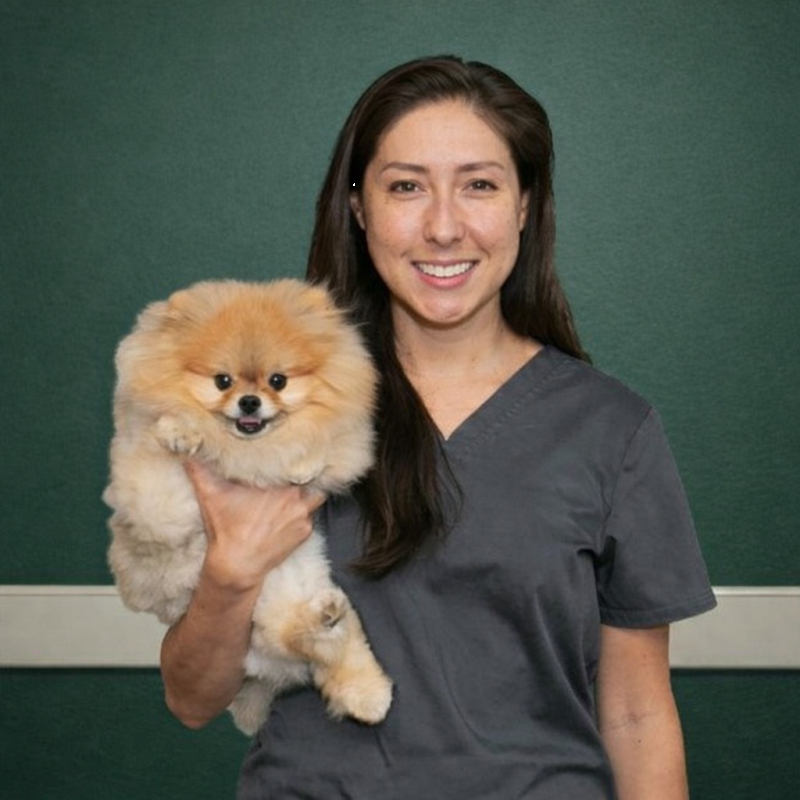Kristy , Veterinary Technician